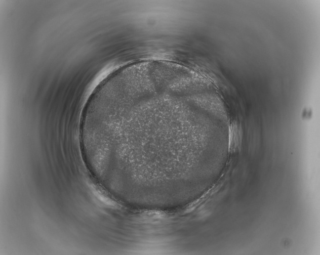 X0000091070195200709041227