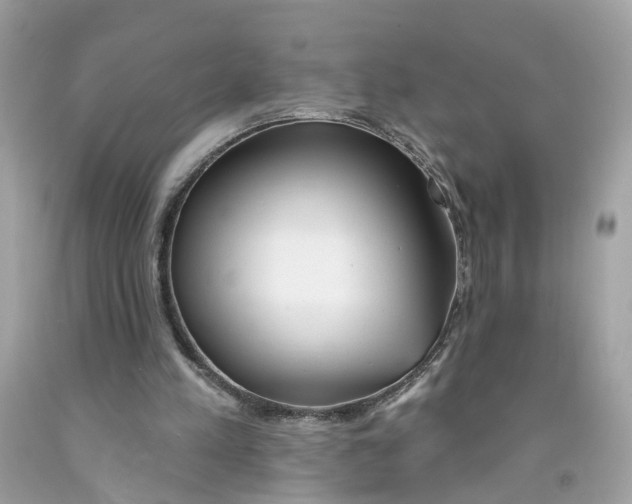 X0000091070197200709041227