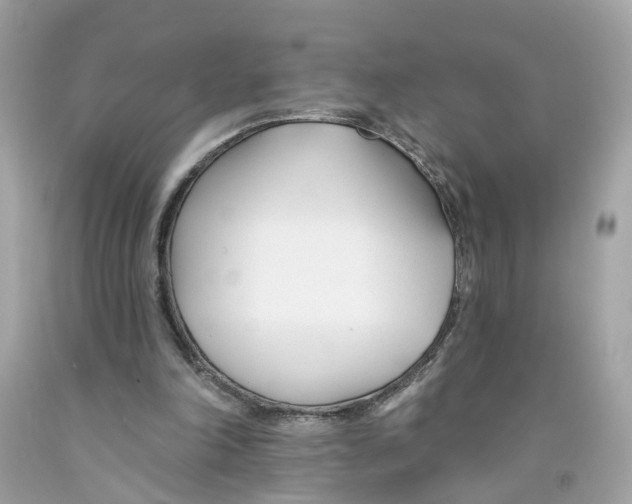 X0000091070198200709041227