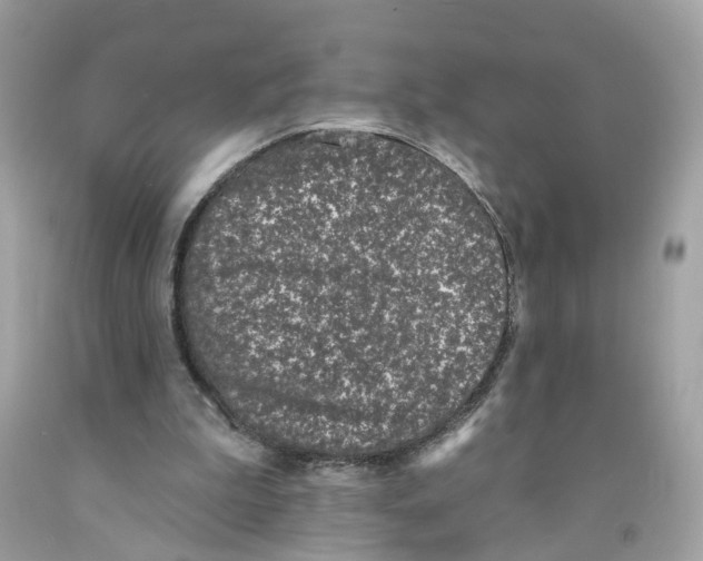 X0000091070199200709041227
