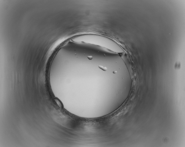 X0000091070200200709041227