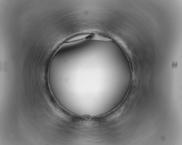 X0000091070201200709041227