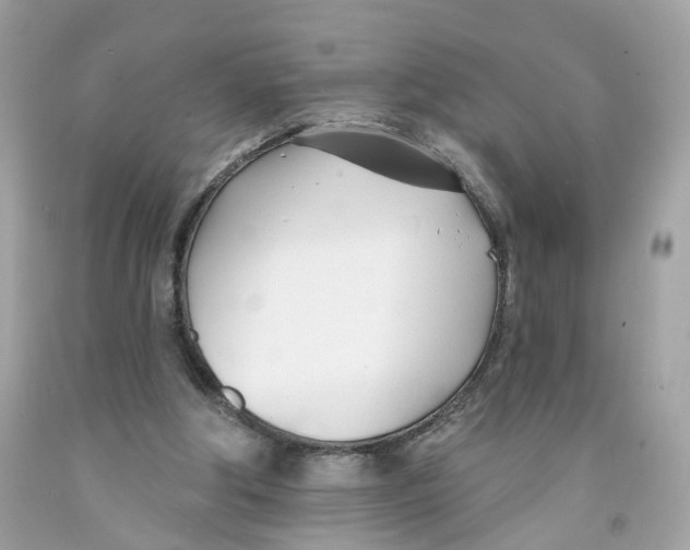 X0000091070202200709041227