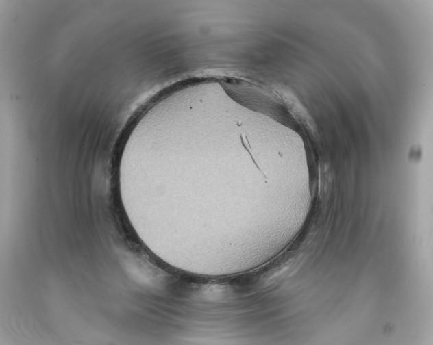 X0000091070204200709041226