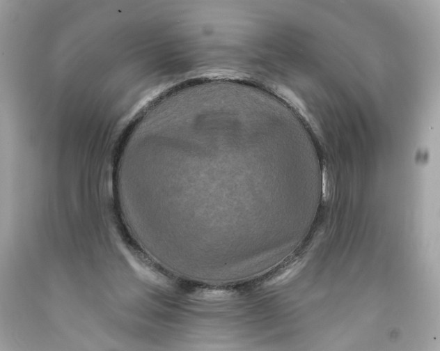 X0000091070205200709041226