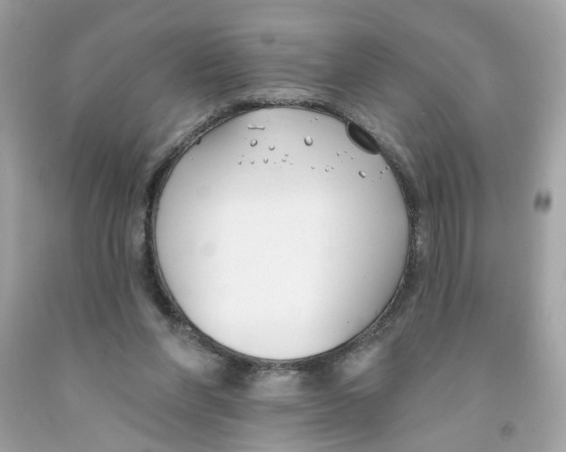 X0000091070206200709041226