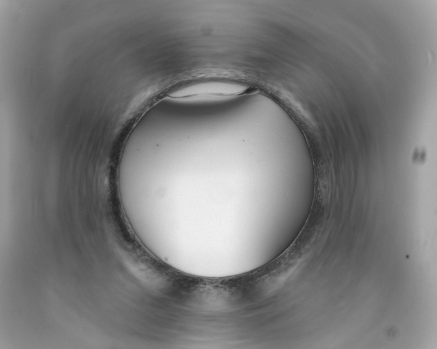 X0000091070207200709041226