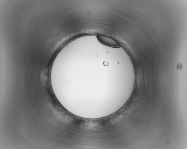 X0000091070208200709041226