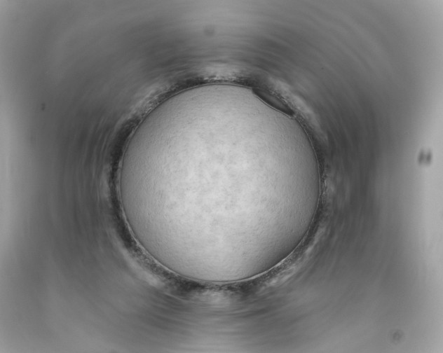 X0000091070209200709041226