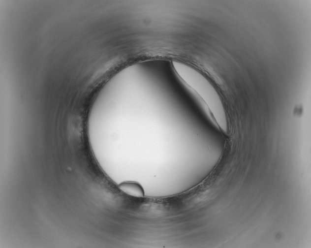 X0000091070211200709041226