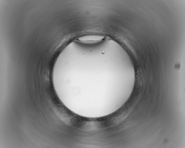 X0000091070212200709041226