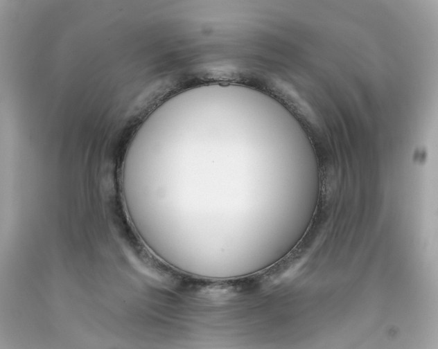 X0000091070213200709041226