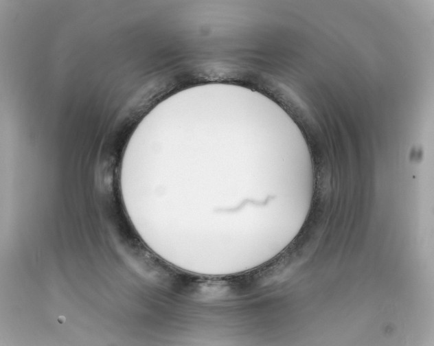 X0000091070214200709041226