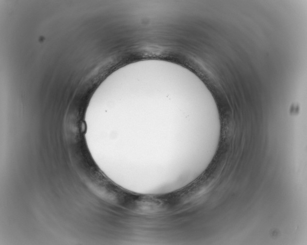 X0000091070215200709041226