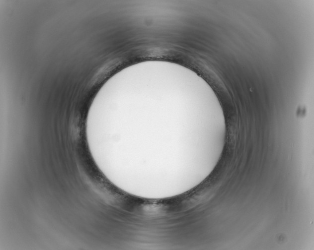 X0000091070216200709041226