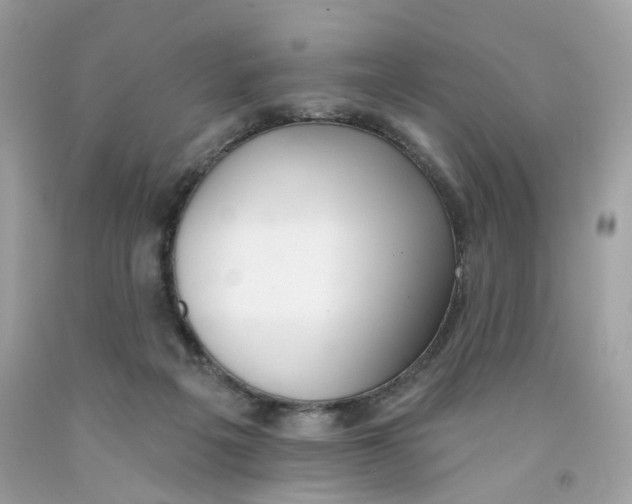 X0000091070217200709041226