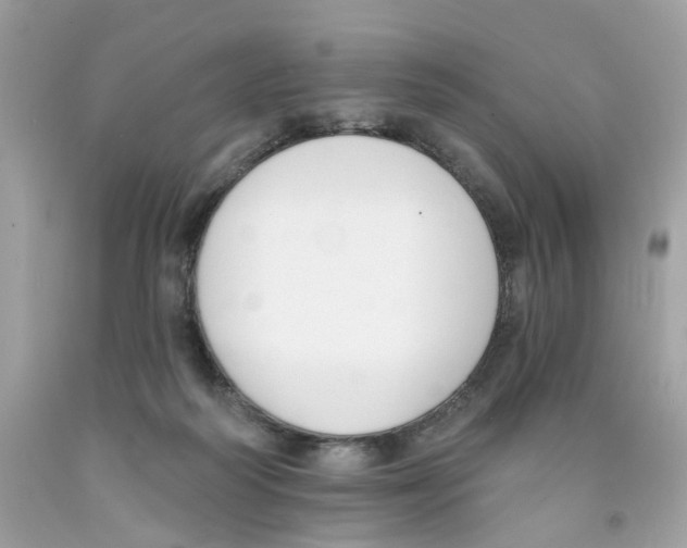 X0000091070218200709041226