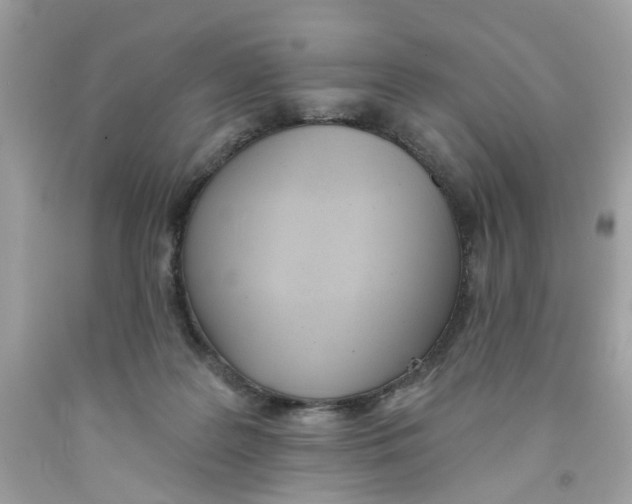 X0000091070219200709041226