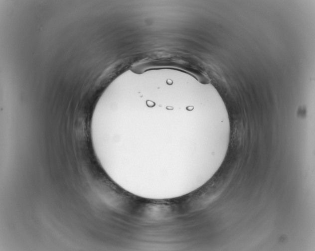 X0000091070220200709041226