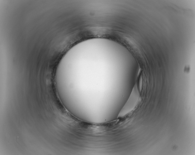 X0000091070221200709041226