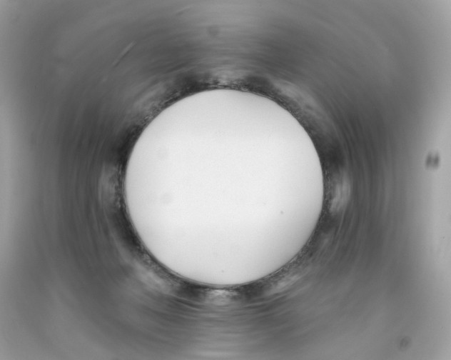 X0000091070222200709041226