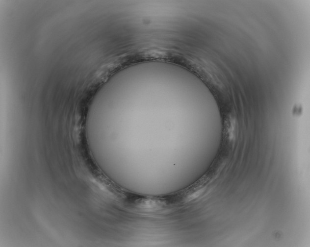 X0000091070223200709041226