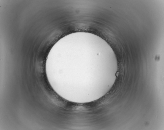 X0000091070224200709041226