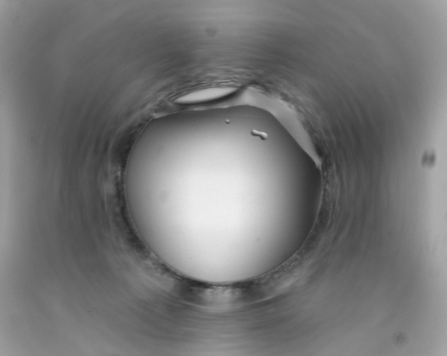 X0000091070225200709041226