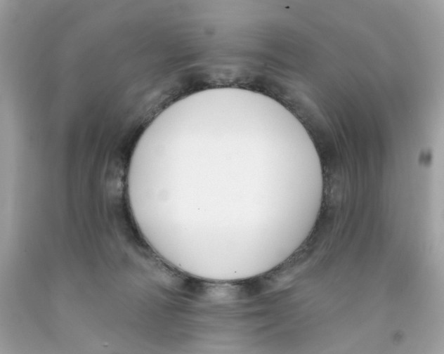 X0000091070226200709041226