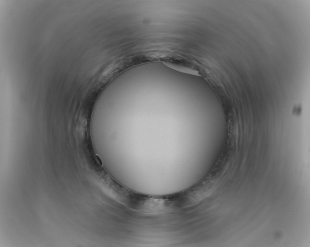 X0000091070227200709041226