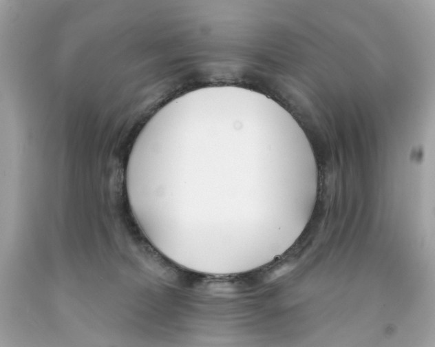 X0000091070228200709041226