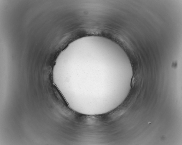 X0000091070229200709041226
