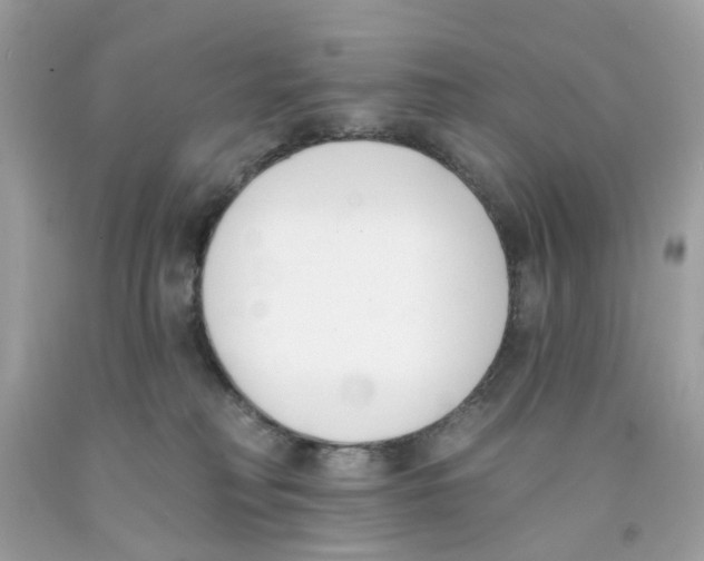 X0000091070230200709041226