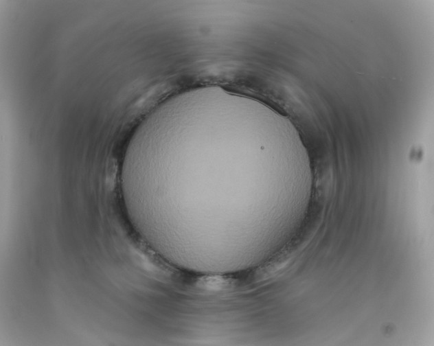 X0000091070231200709041226