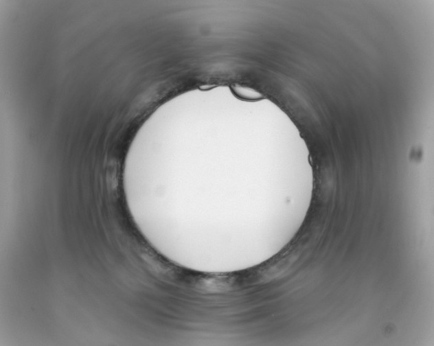 X0000091070232200709041226