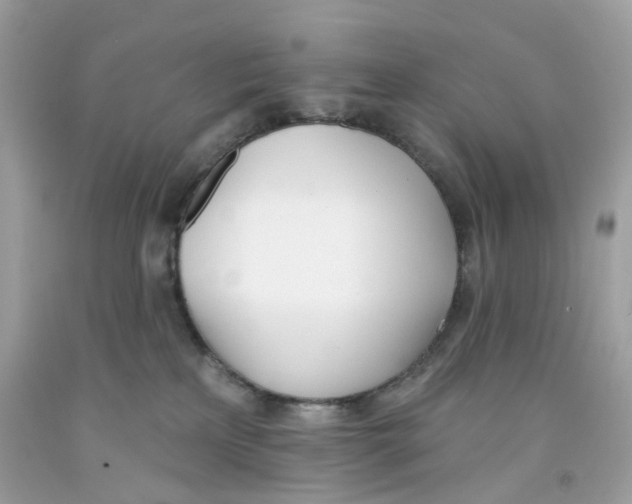 X0000091070233200709041226
