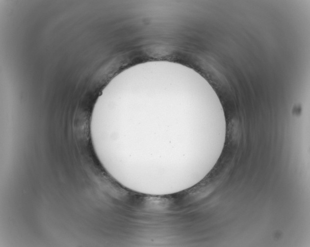 X0000091070234200709041226