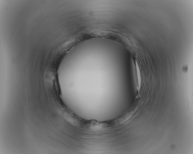 X0000091070235200709041226