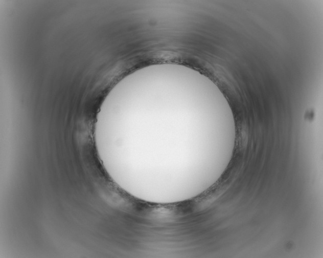 X0000091070236200709041226