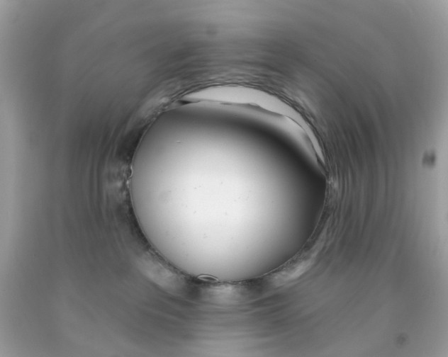 X0000091070237200709041226