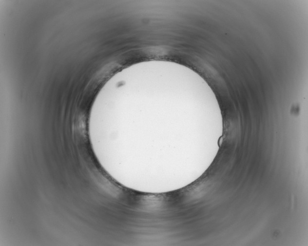 X0000091070238200709041226