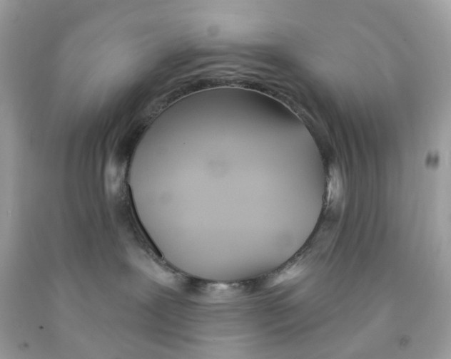 X0000091070239200709041226