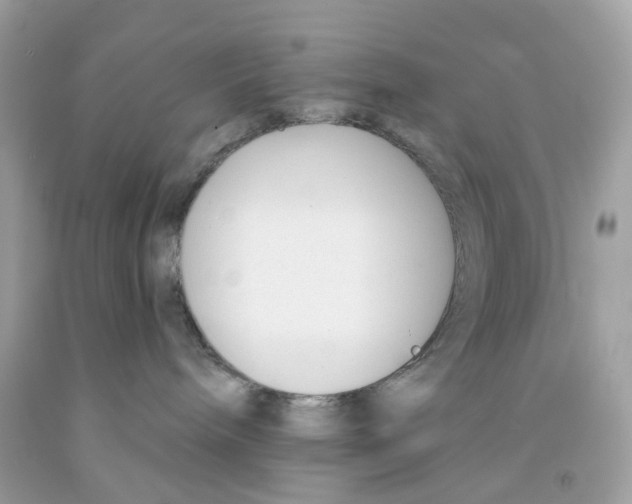 X0000091070240200709041226