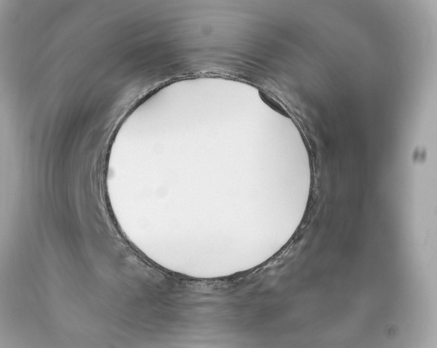 X0000091070241200709041225