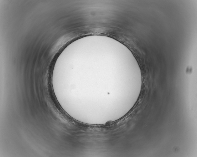 X0000091070242200709041225