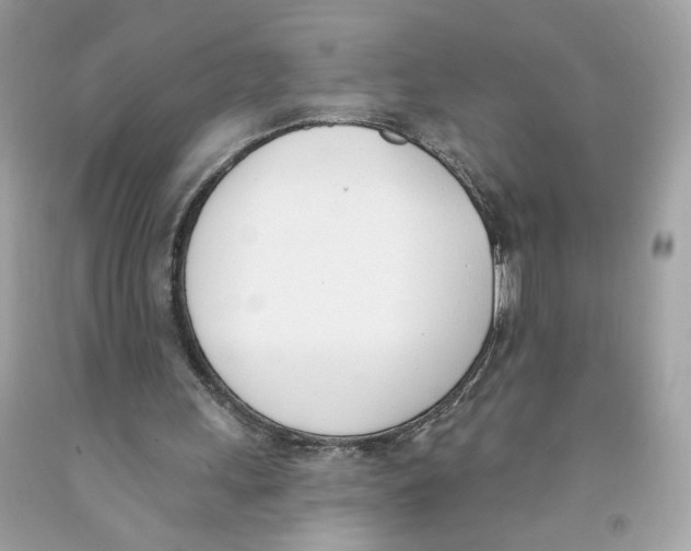X0000091070243200709041225