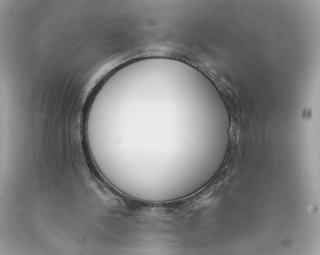 X0000091070244200709041225