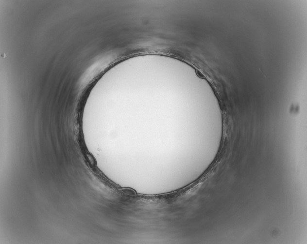 X0000091070245200709041225