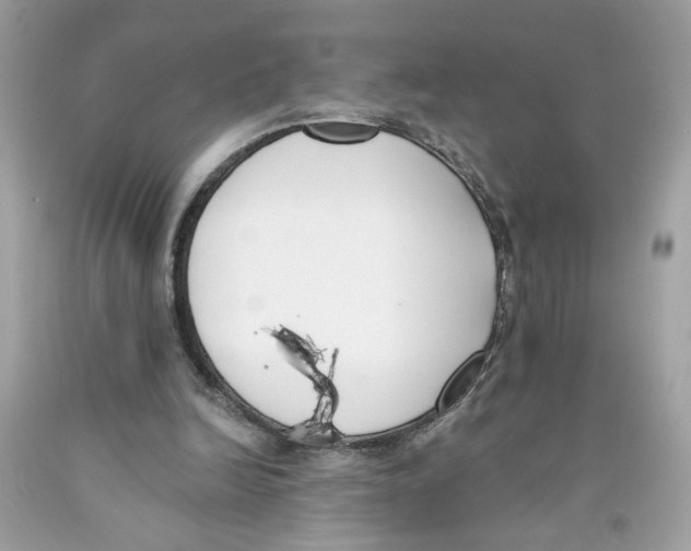 X0000091070246200709041225