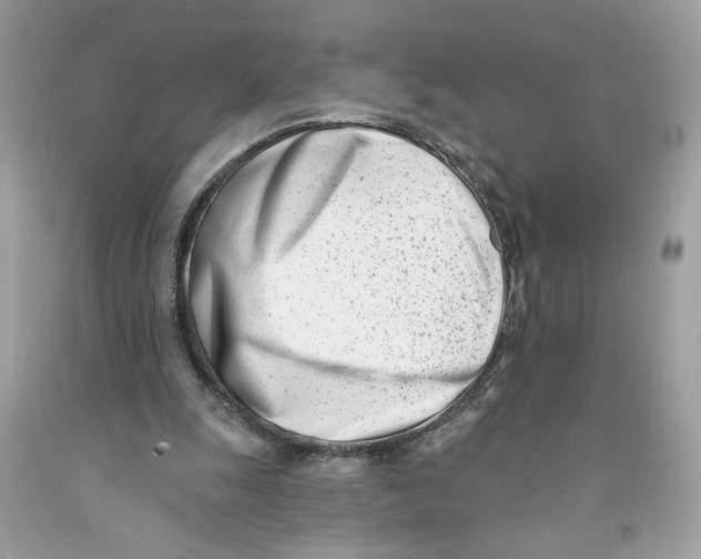X0000091070247200709041225